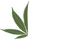 Know MJ Logo